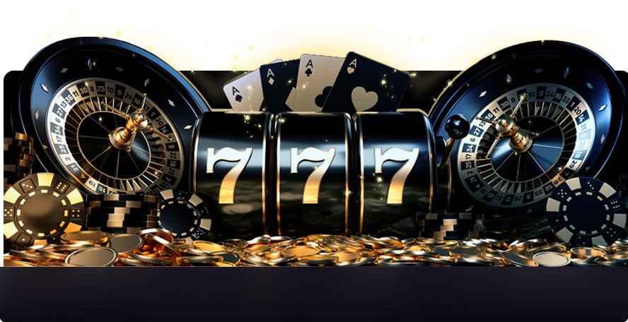 pdz24